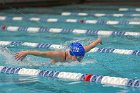 Swimming & Diving vs Babson  Swimming & Diving vs Babson College. - Photo by Keith Nordstrom : Wheaton, Swimming